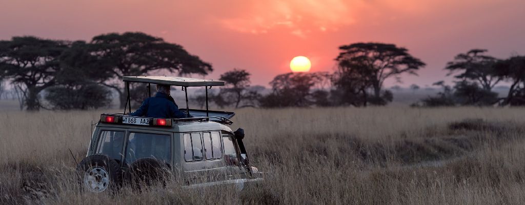 Safari Centraal Afrika