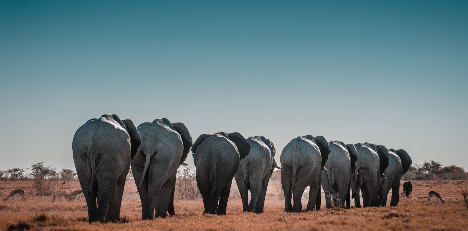 Groepsreizen Namibië